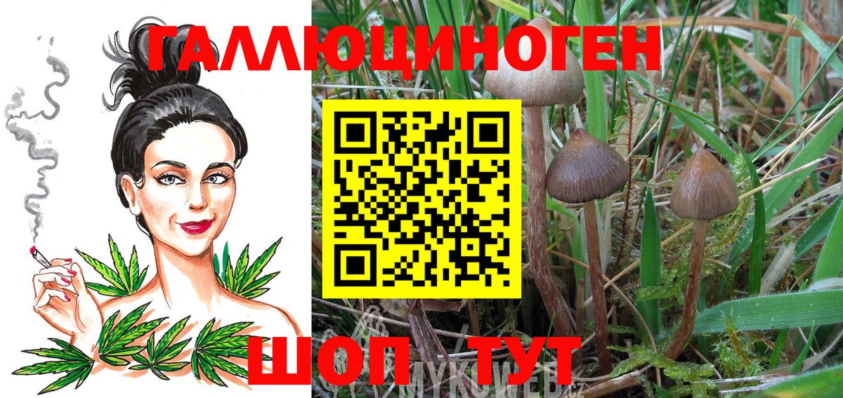 Сергиев Посад  Псилоцибиновые грибы MAGIC MUSHROOMS  Вход с VPN  Псилоцибиновые грибы мицелий 